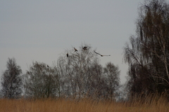 Killikus&reg; Fotographie